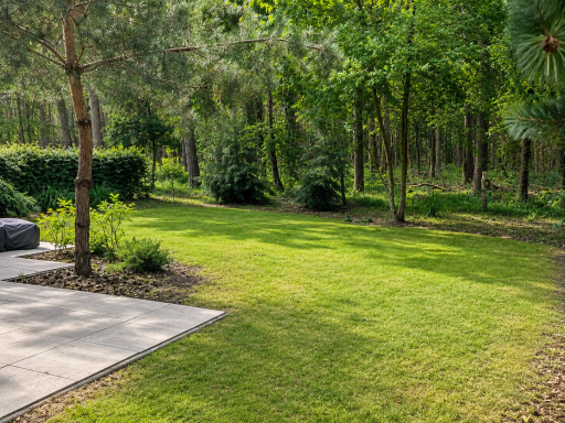 achtertuin2