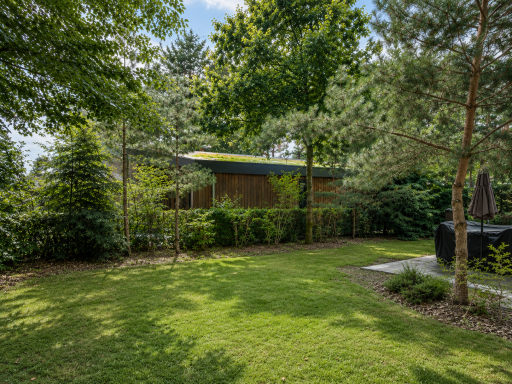 achtertuin1
